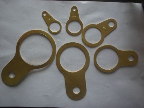 Brass Earth Tags