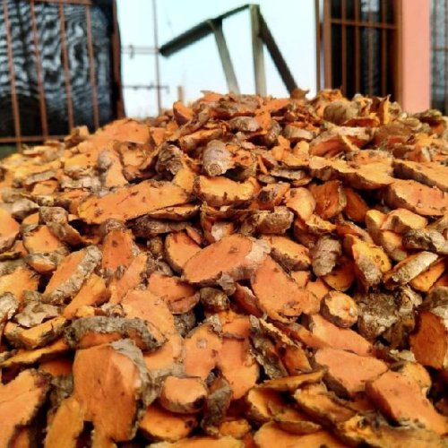 Organic Turmeric Slices