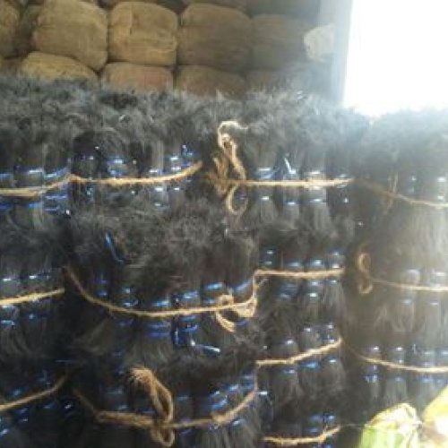 Black Coir Fiber