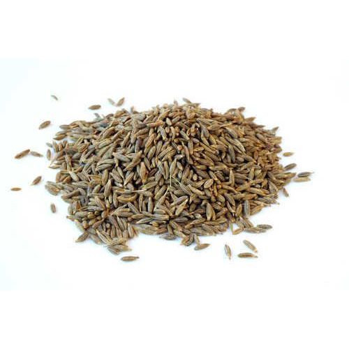 Europe 99.5% Cumin Seeds