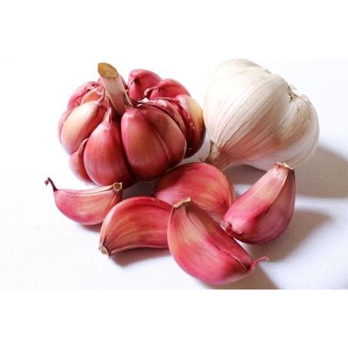 Fresh Red Garlic