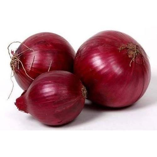 fresh red onion