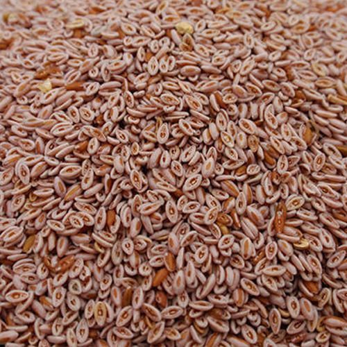 Psyllium Seeds