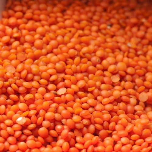 Red Lentils