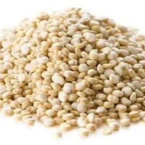 Quinoa Seeds