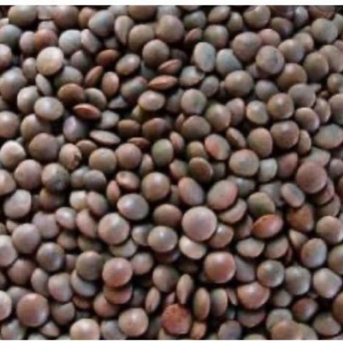 Black Masoor Dal
