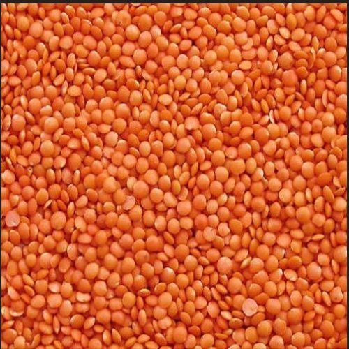 Red Masoor Dal