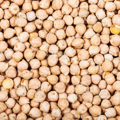 White Chickpeas