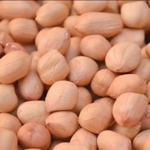 40/50 Java Peanut Kernels