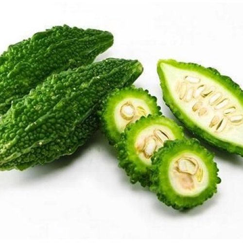 Fresh Bitter Gourd