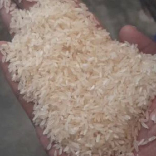 GR11 Parboiled Non Basmati Rice