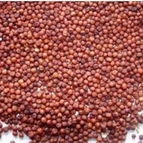 Natural Ragi Seeds