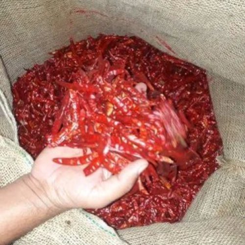 Sannam 334 Dried Red Chilli
