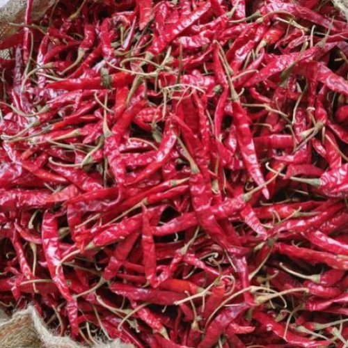 Teja S17 Dried Red Chilli