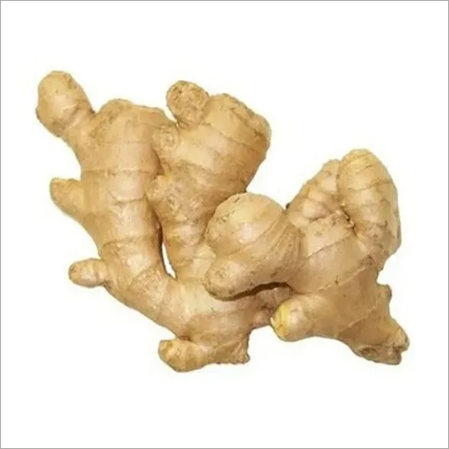 Fresh Ginger