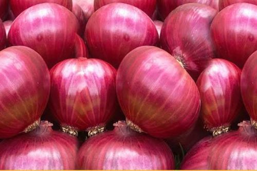 Fresh Onion
