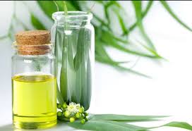 Eucalyptus Oil