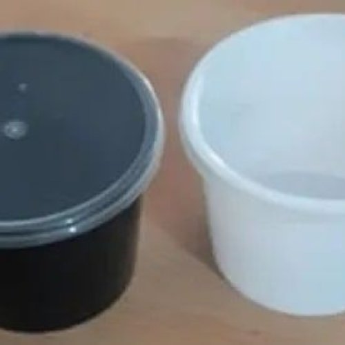 Disposable Plastic Food Containers
