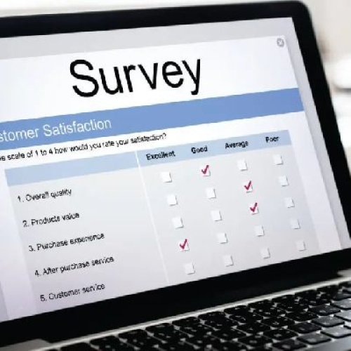 Survey Translation Services