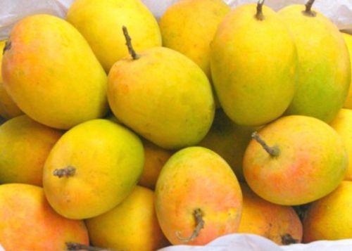 Fresh Mango