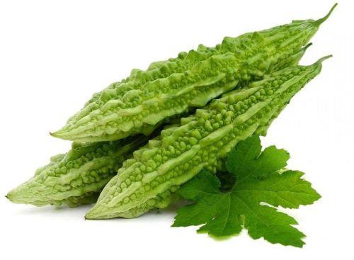 Fresh Bitter Gourd