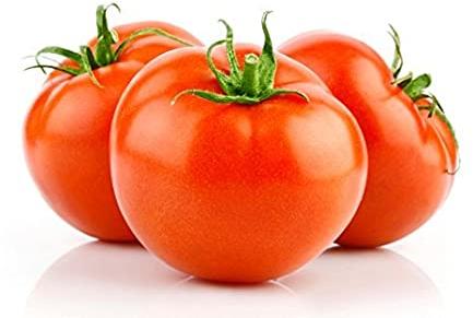 Fresh Tomato