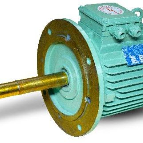 Cooling Tower Motor