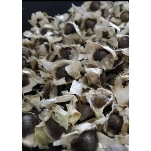 PKM2 Natural Moringa Seeds