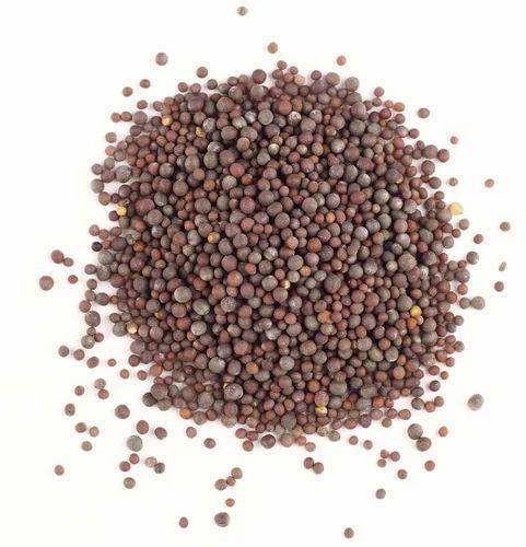 Mustard Seeds