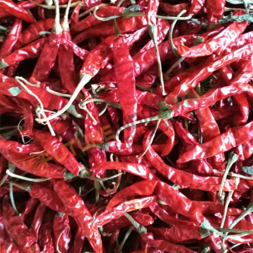 Dry Red Chilli