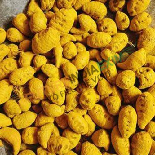 Turmeric Bulb