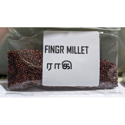 FINGER MILLET