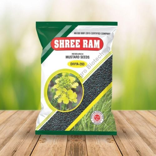Divya 203 Hybrid Mustard Seed