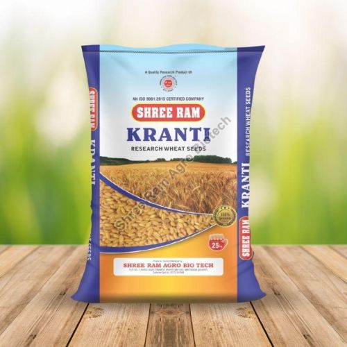 Kranti Hybrid Wheat Seed