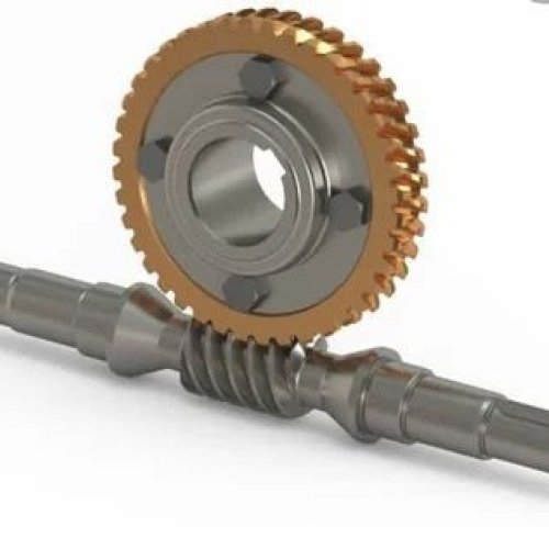 Worm Gear