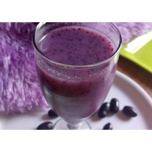 Jamun Pulp