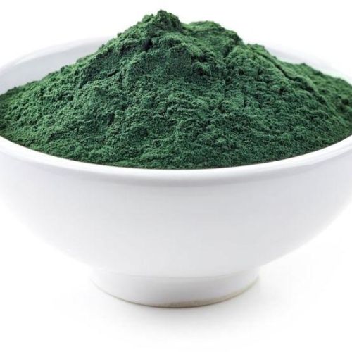 Dried Spirulina Powder