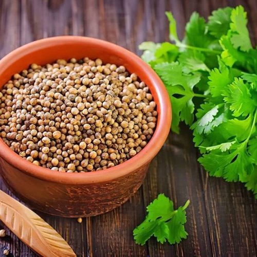 Coriander Seed