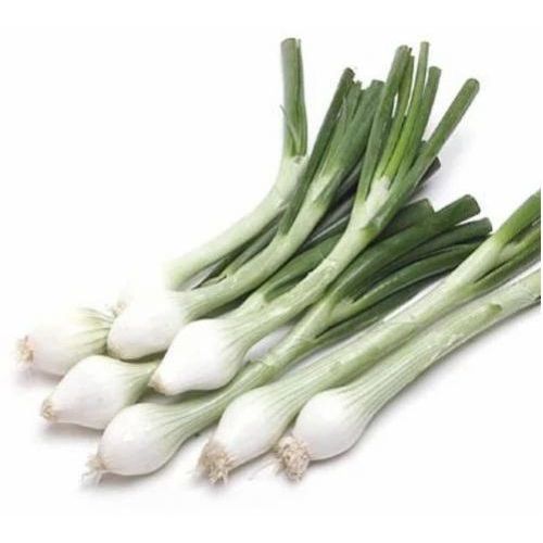 Fresh Green Onion