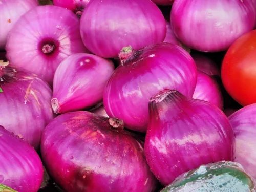 Fresh Pink Onion