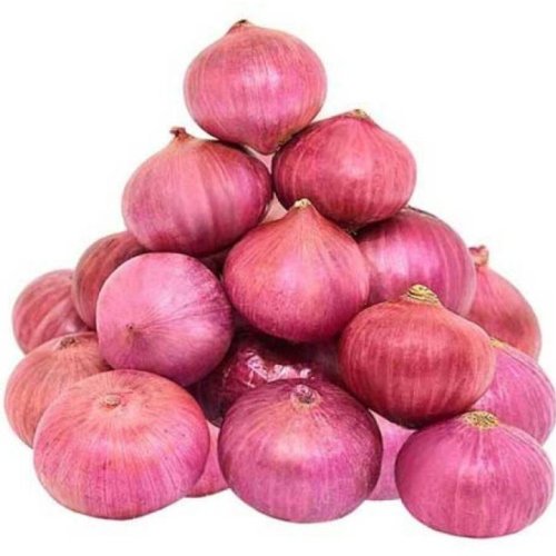 A Grade Big Red Onion