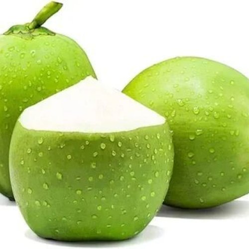 Organic Tender Coconut