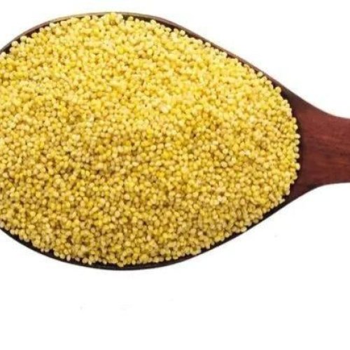 Foxtail Millet