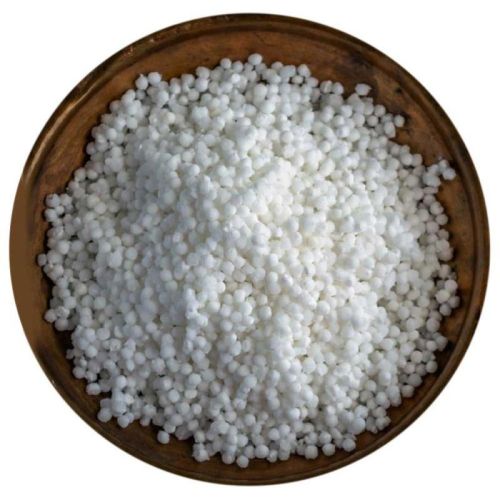 Sago Seeds