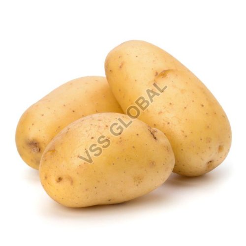 Chipsona Potato