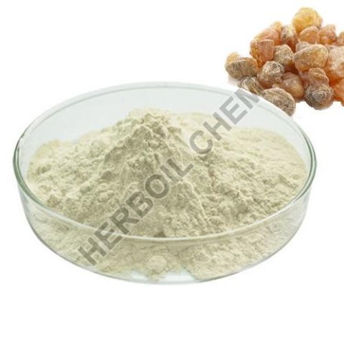BOSWELLIA SERRATA (AKBA 10%-75%)
