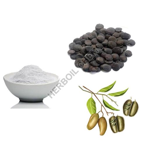 Griffonia Seed Extract 5 Htp