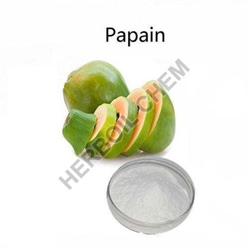 Papain Enzyme Powder