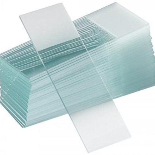 Microscope Slides