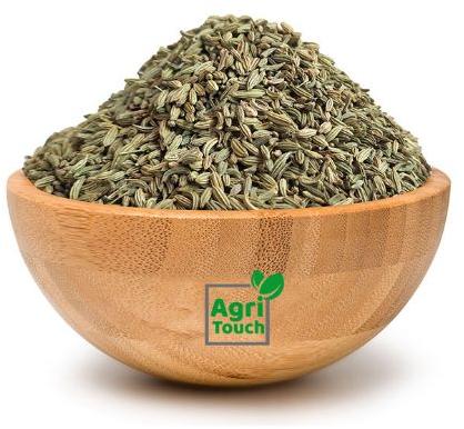 Fennel Seeds